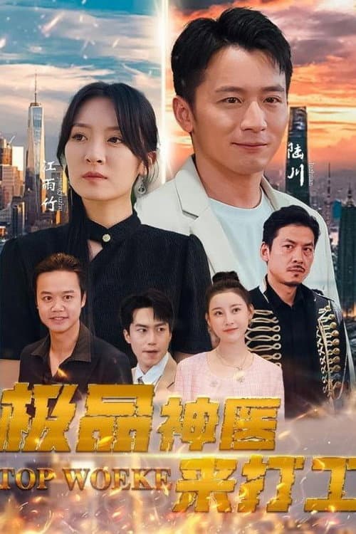 Постер: 极品神医来打工