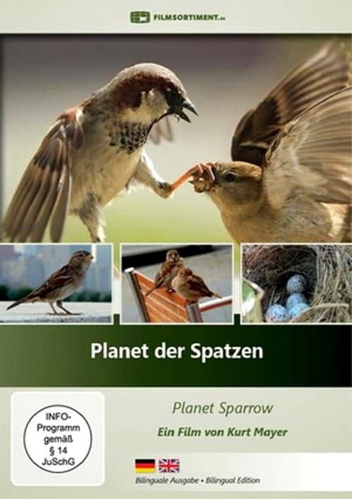 Постер: Planet der Spatzen