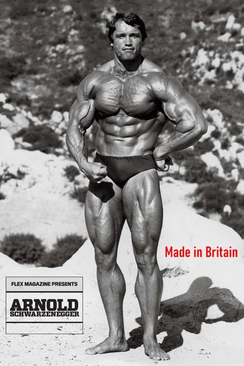 Постер: Arnold: Made in Britain