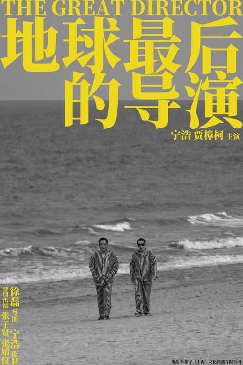 Постер: 地球最后的导演