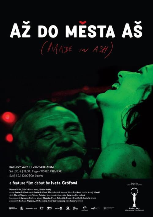 Постер: Až do mesta Aš