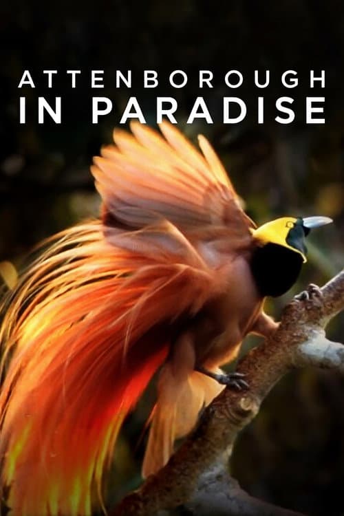 Постер: Attenborough in Paradise