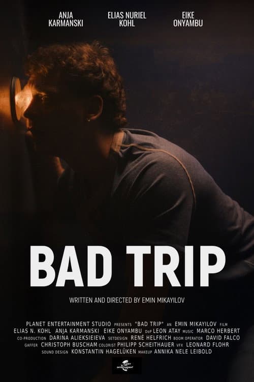 Постер: Bad Trip