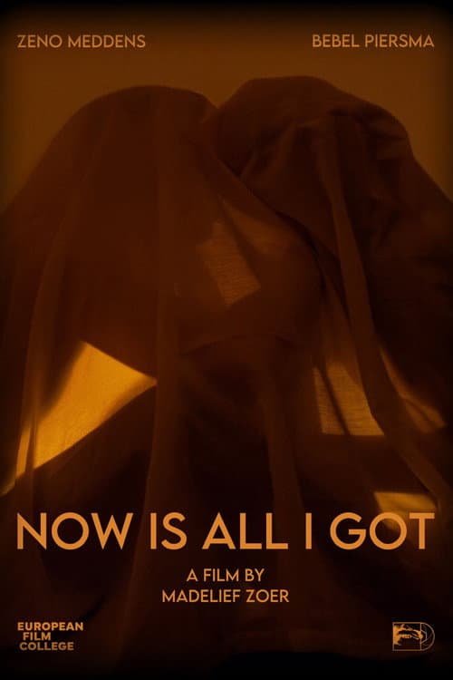 Постер: Now Is All I Got