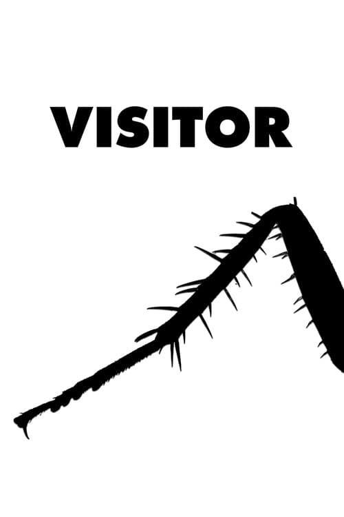 Постер: Visitor
