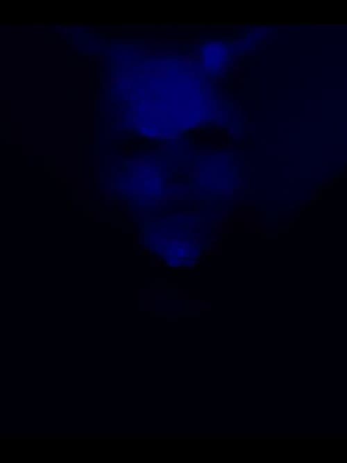 Постер: (R)eliving the (E)xecution of (M)yself