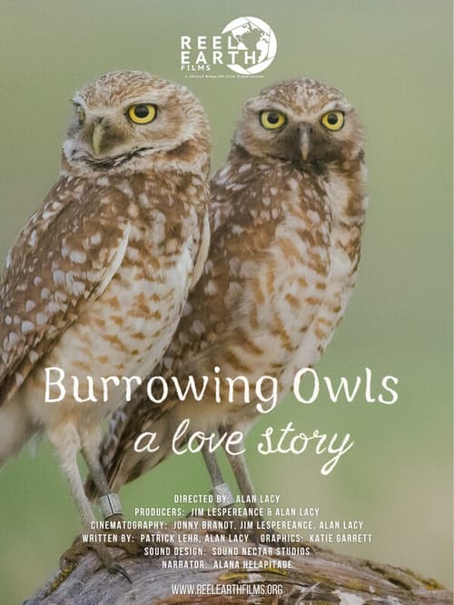 Постер: Burrowing Owls: A Love Story