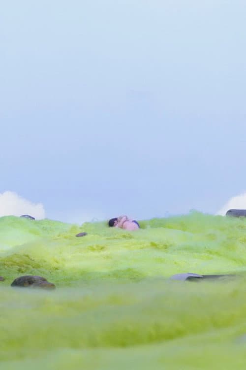 Постер: O the Grass Was Warm!
