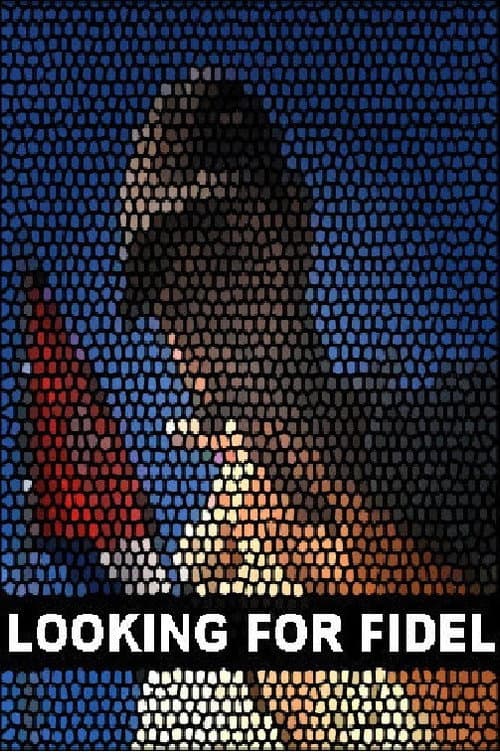 Постер: Looking for Fidel