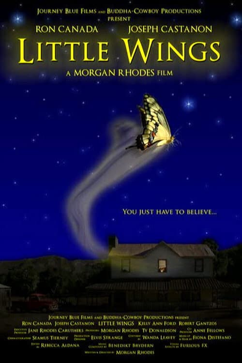Постер: Little Wings