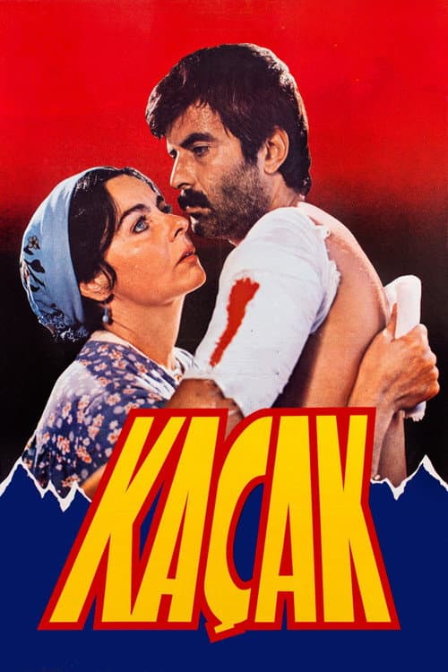 Постер: Kaçak