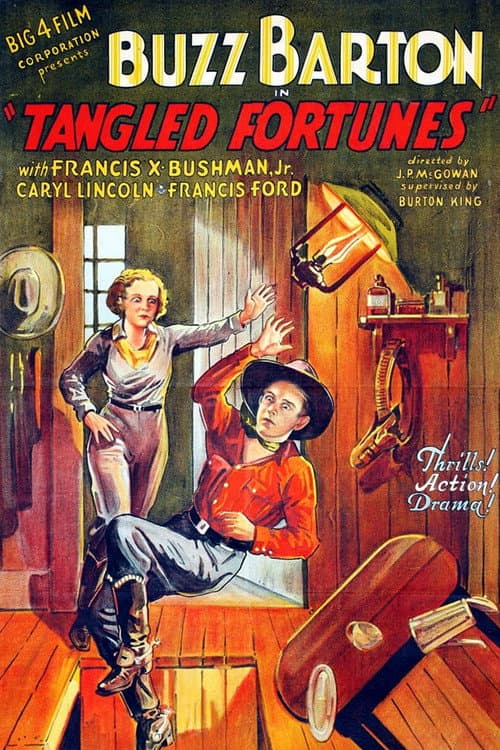 Постер: Tangled Fortunes