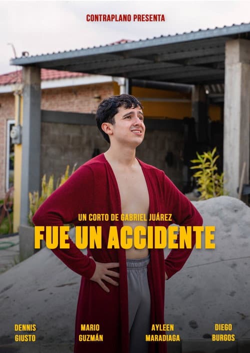 Постер: Fue un accidente