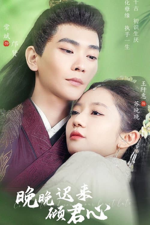 Постер: 晚晚迟来倾君心