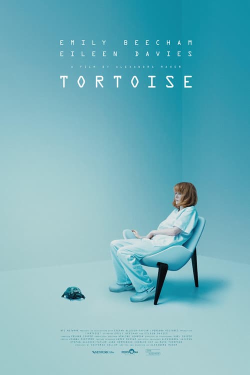 Постер: Tortoise