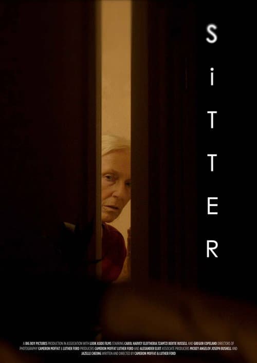 Постер: Sitter