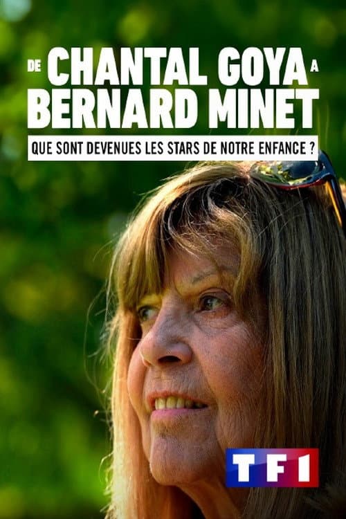 Постер: De Chantal Goya à Bernard Minet : Que sont devenues les stars de notre enfance ?