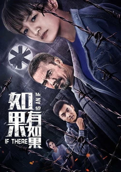 Постер: 如果有如果