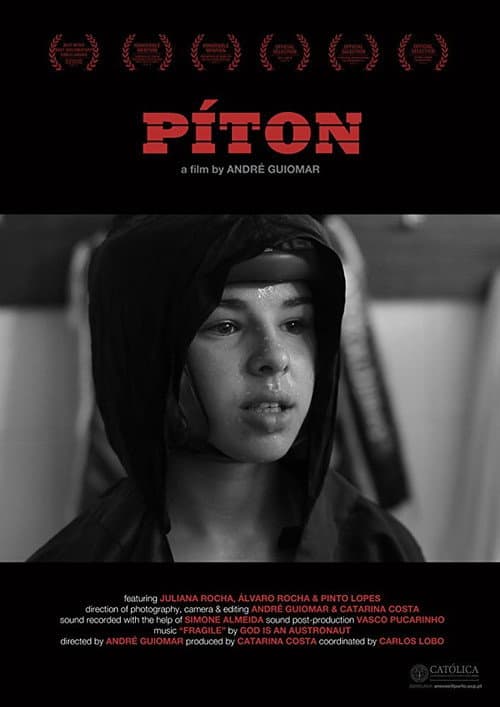 Постер: Píton