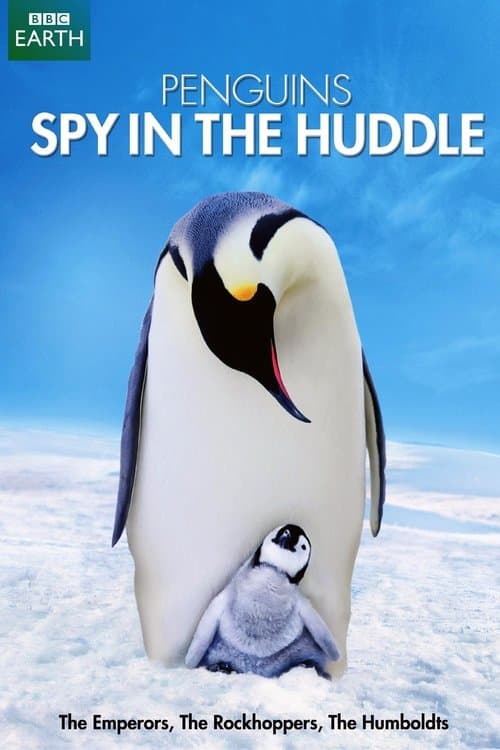 Постер: Penguins: Spy in the Huddle