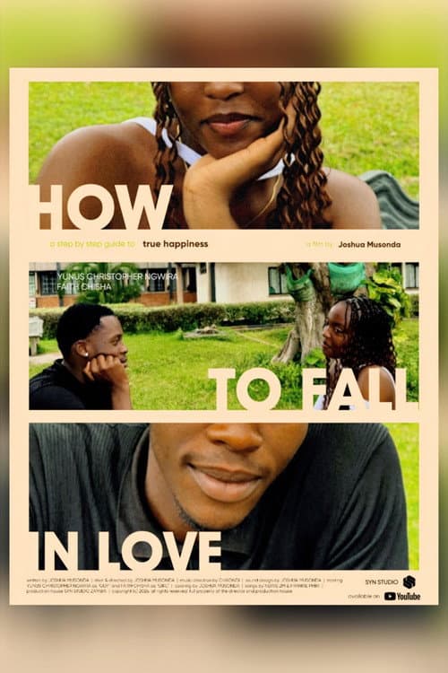 Постер: HOW TO FALL IN LOVE