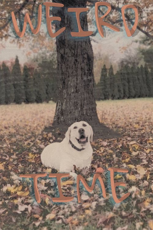 Постер: Weird Time