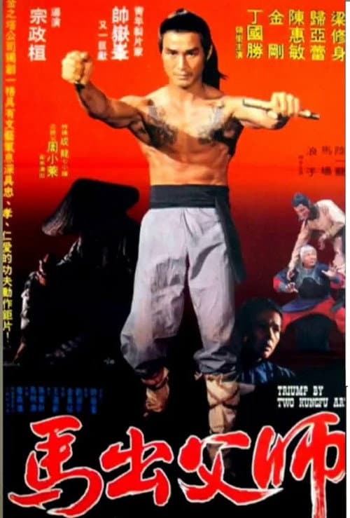 Постер: Lang zi di shi san