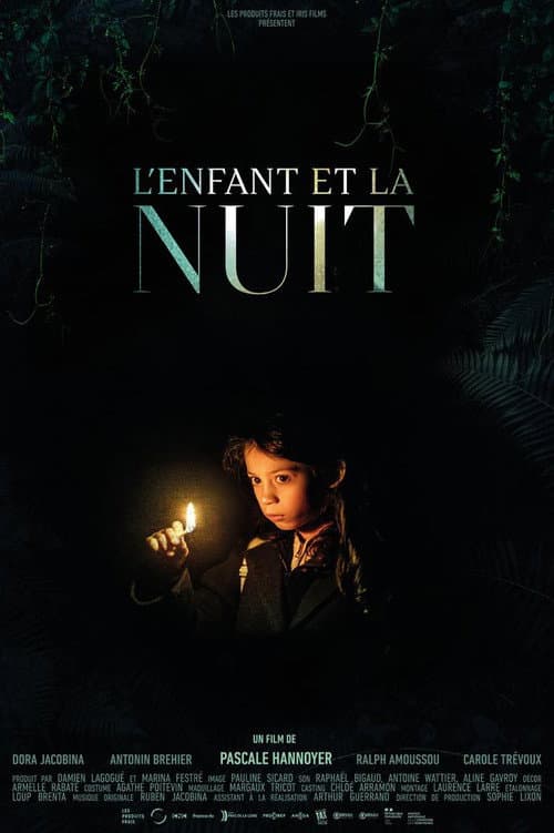 Постер: L'enfant et la nuit