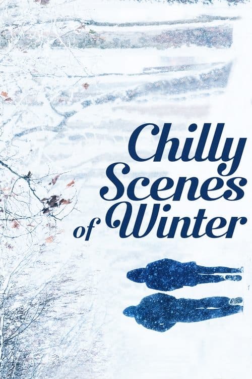 Постер: Chilly Scenes of Winter