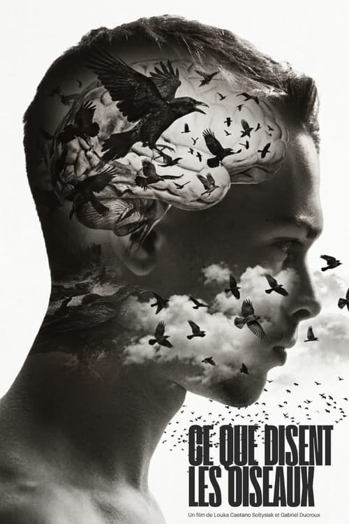 Постер: Ce que disent les Oiseaux
