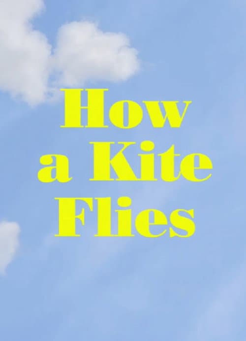 Постер: How a Kite Flies