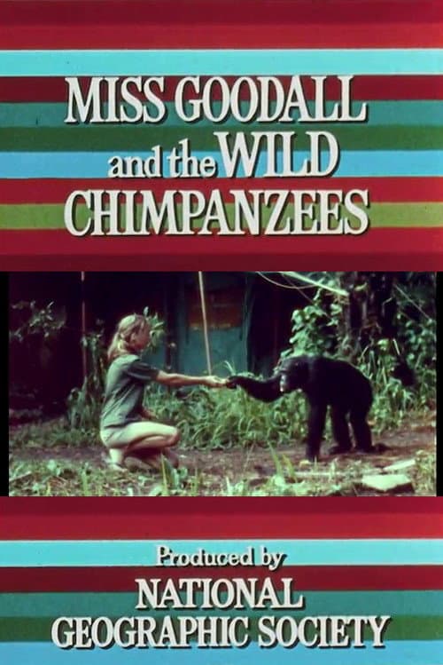Постер: Miss Goodall and the Wild Chimpanzees