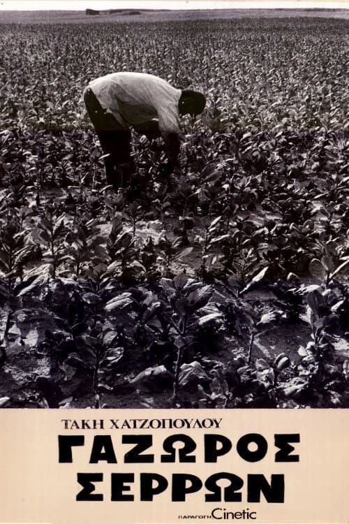Постер: Γάζωρος Σερρών