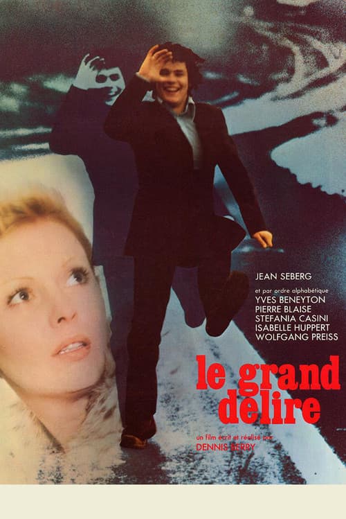Постер: Le grand délire