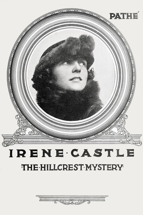 Постер: The Hillcrest Mystery