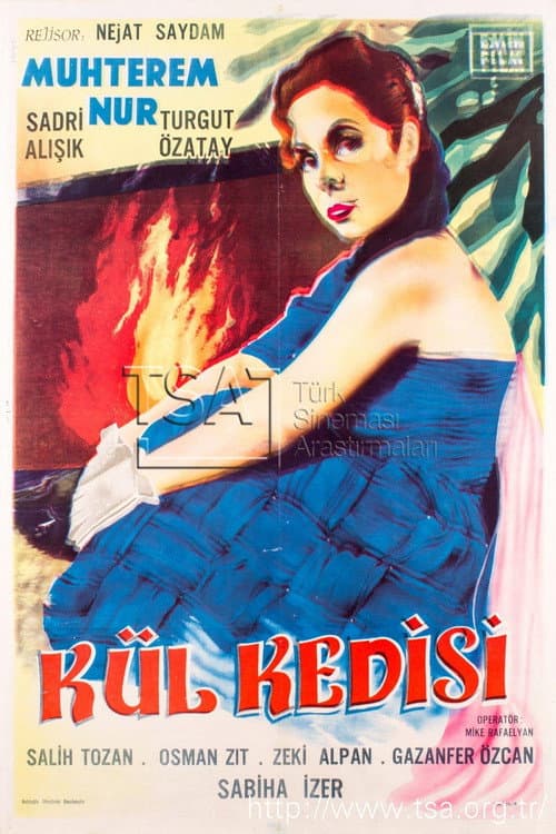 Постер: Kül Kedisi