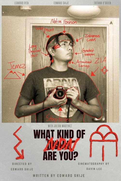 Постер: What Kind of NDN Are You?