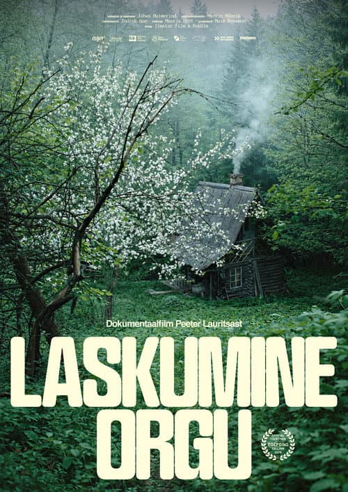 Постер: Laskumine orgu