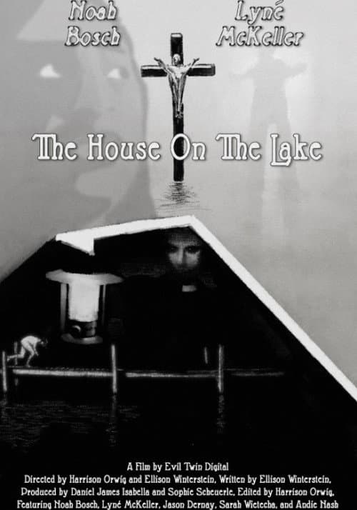 Постер: The House On The Lake