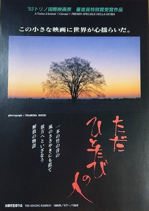 Постер: ただひとたびの人