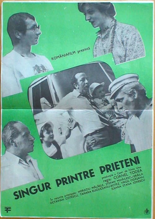 Постер: Singur printre prieteni