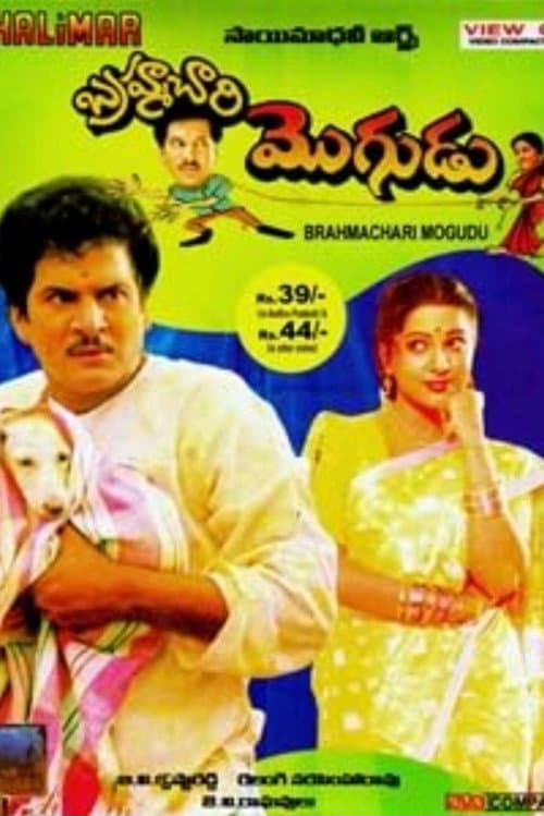 Постер: బ్రహ్మచారి మొగుడు