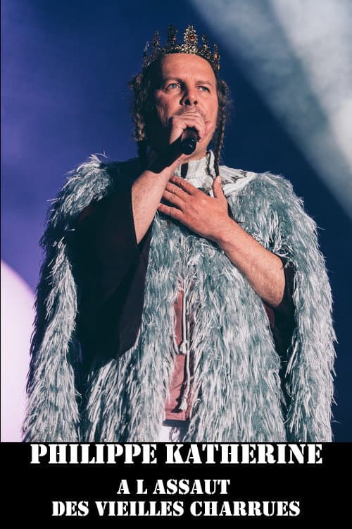 Постер: Philippe Katerine au festival des Vieilles Charrues