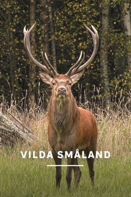 Постер: Vilda Småland