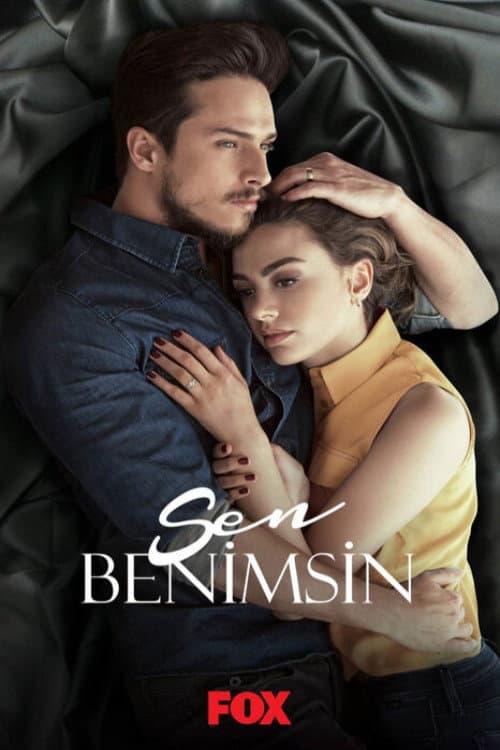 Постер: Sen Benimsin