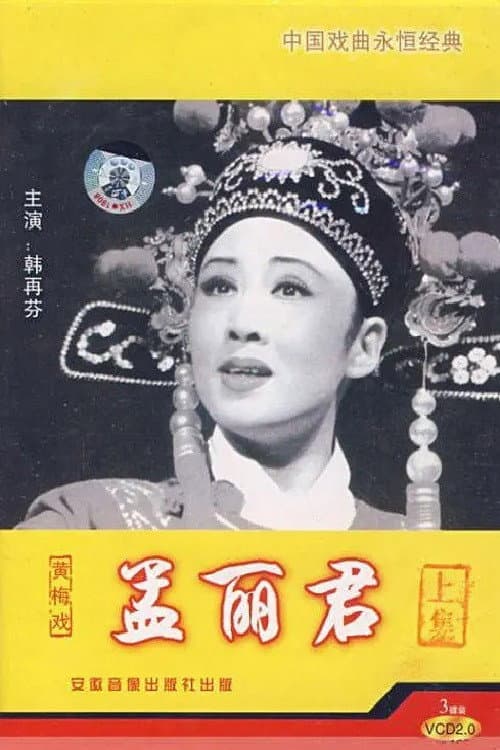 Постер: 孟丽君