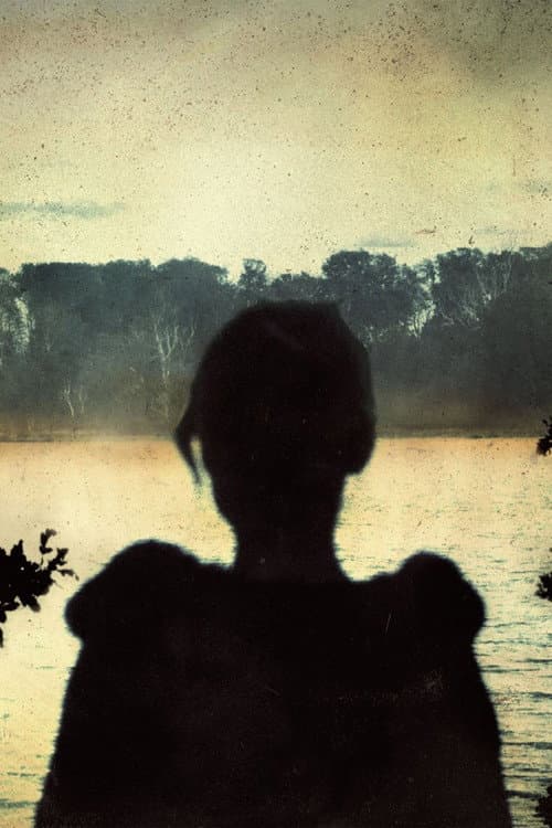 Постер: Porcupine Tree: Never Stop the Car on a Drive in the Dark