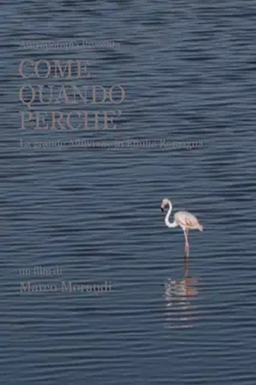 Постер: Come quando perché