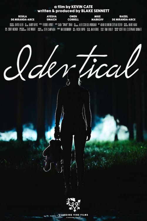 Постер: Identical