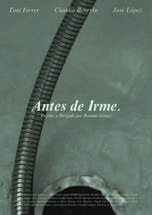 Постер: Antes de Irme